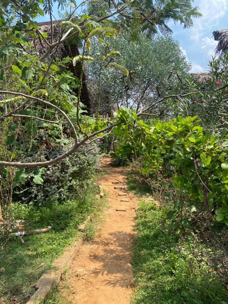 Time Travellers Hostel Auroville Exterior photo